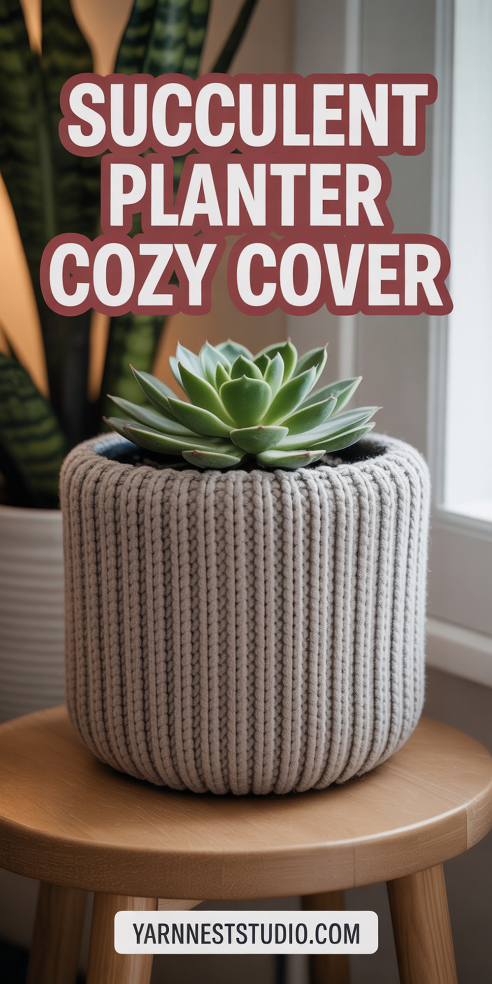 Succulent Planter Cozy Cover