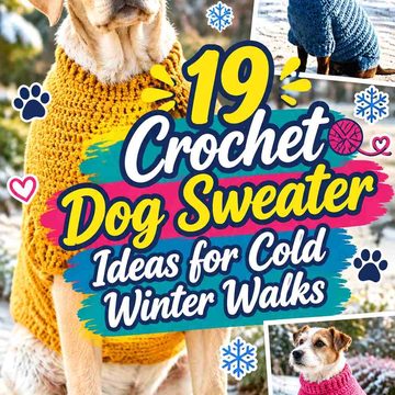19 Crochet Dog Sweater Ideas for Cold Winter Walks